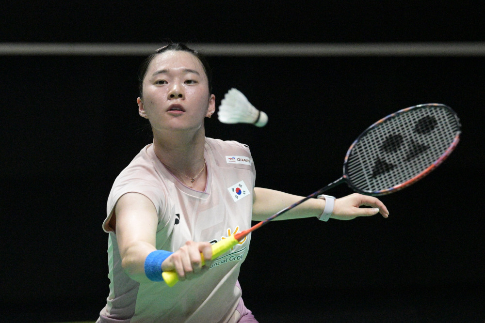 个清晰样本 个清晰样本