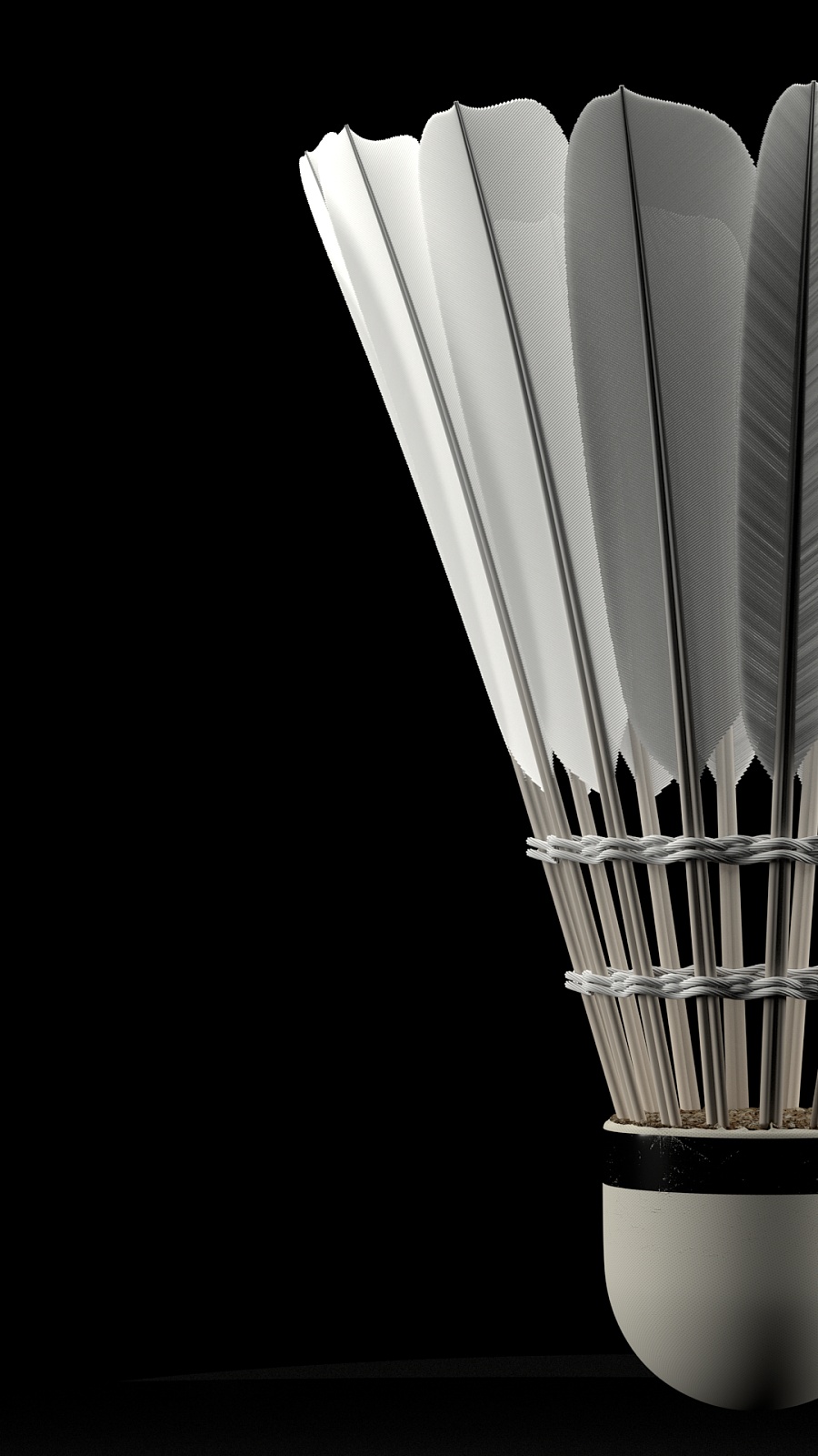 变奏保护核 变奏保护核